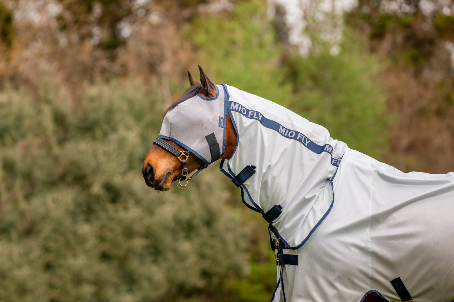 Mio Fly Rug