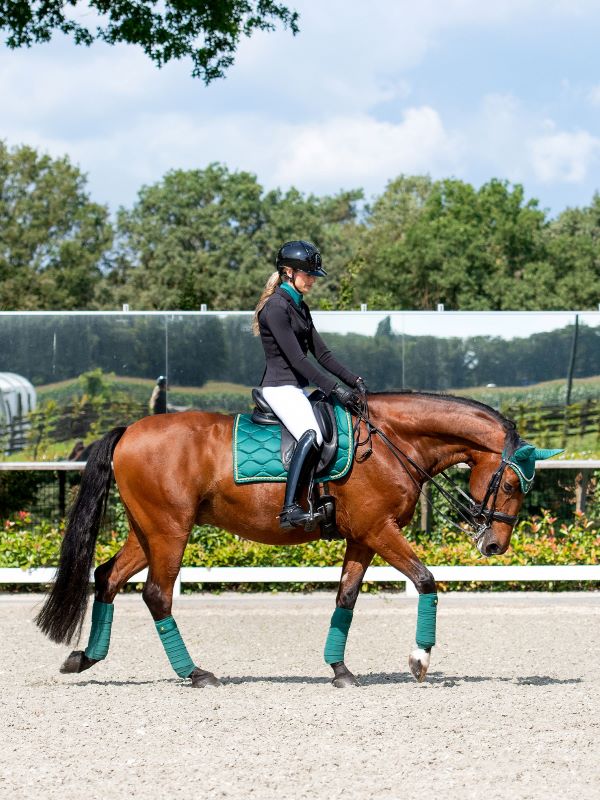 PSOS Dressage Saddle Pad Signature, Jade