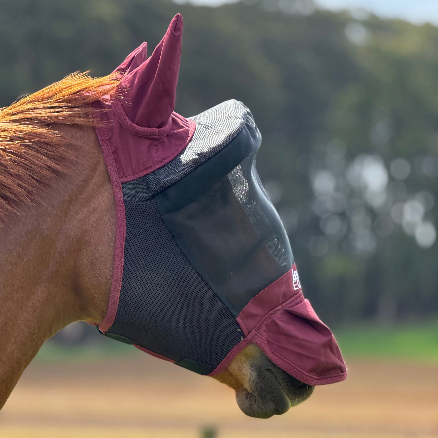 LE Outback Flymask with Ears & Nose