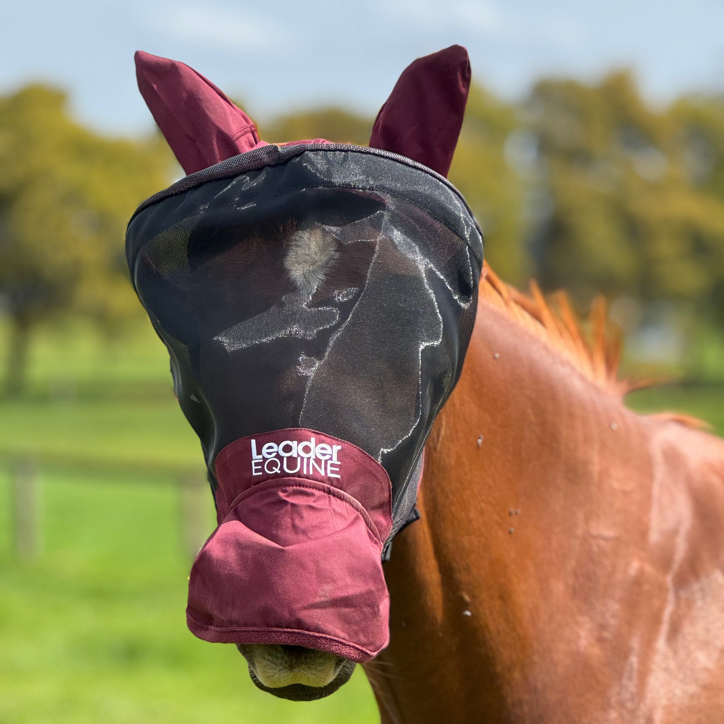 LE Outback Flymask with Ears & Nose