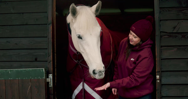 LE Boxter Stable Rug 100g
