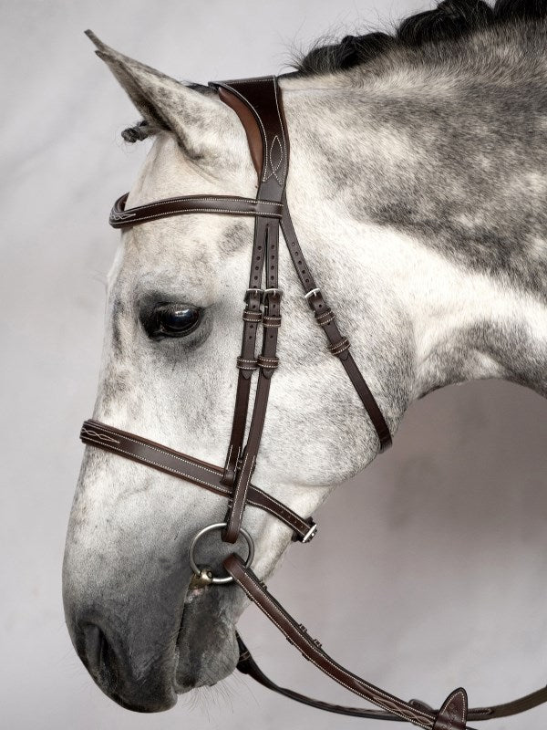 PSOS Ocala Bridle