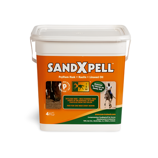SandXpell