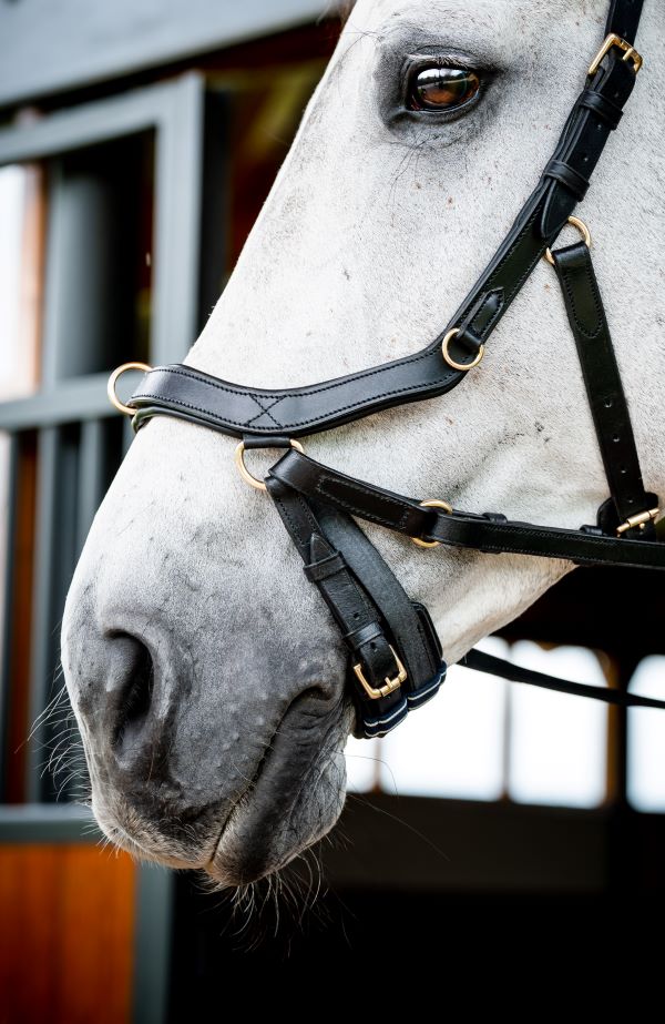 Micklem multibridle online