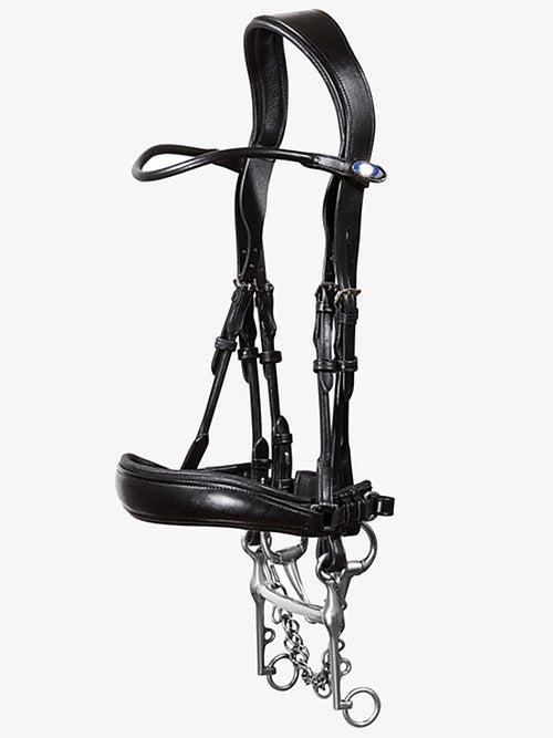 PSOS PK Double Bridle