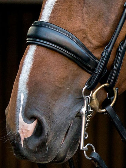 PSOS PK Double Bridle