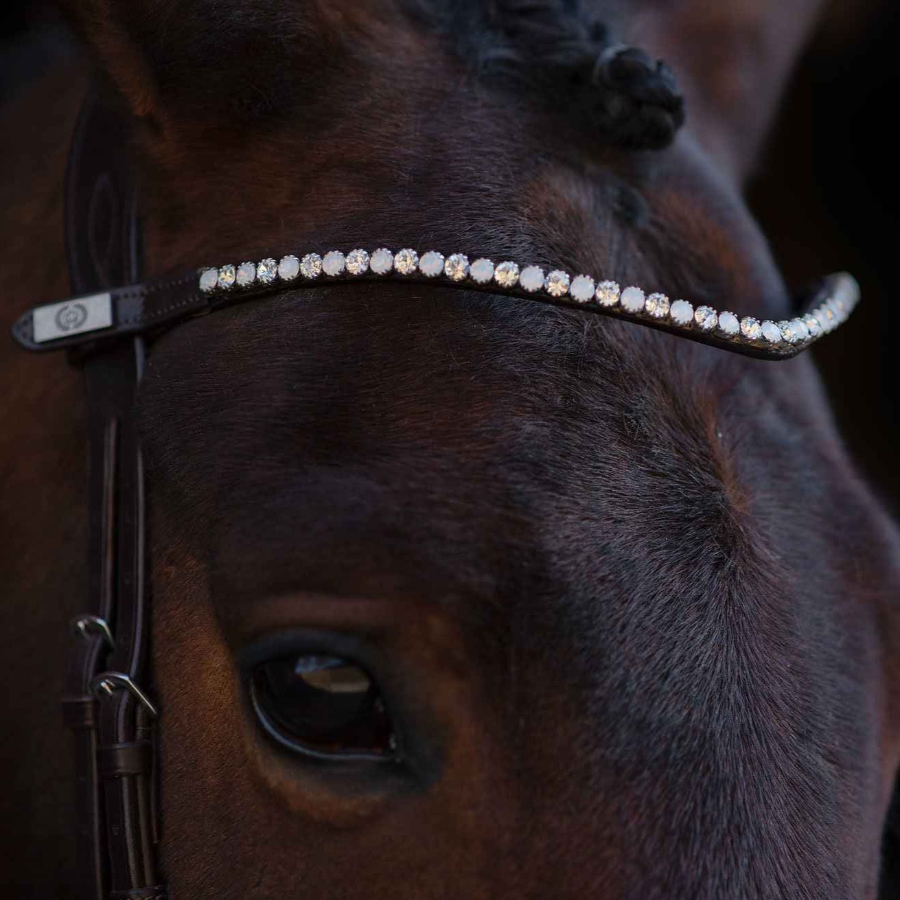 PSOS Browband Sleek Alaska