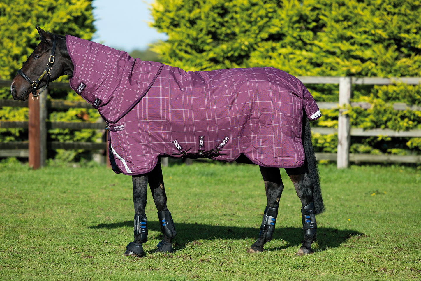 Rhino Pony Plus Turnout Medium