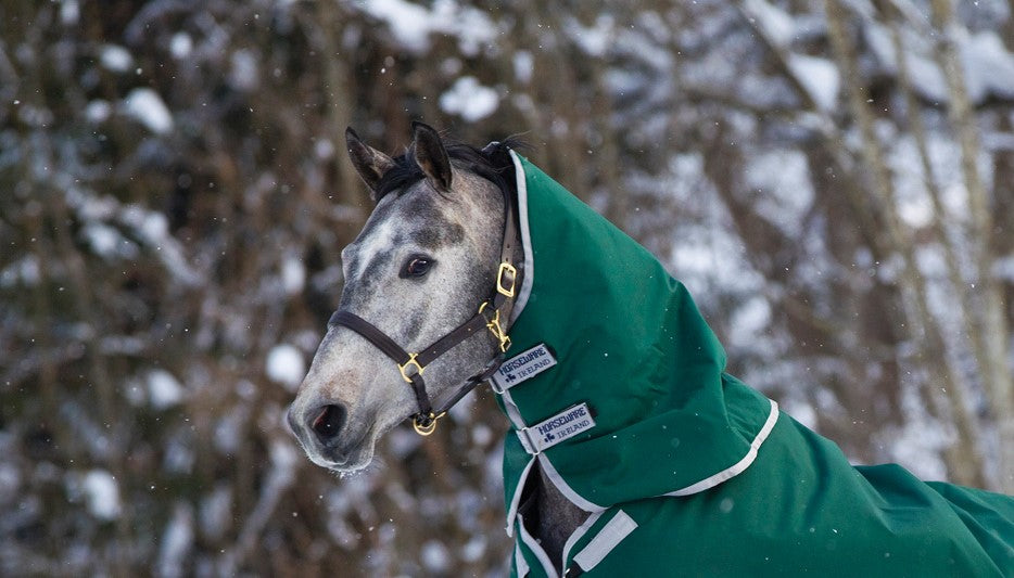 Rambo Original Neck Rug Turnout