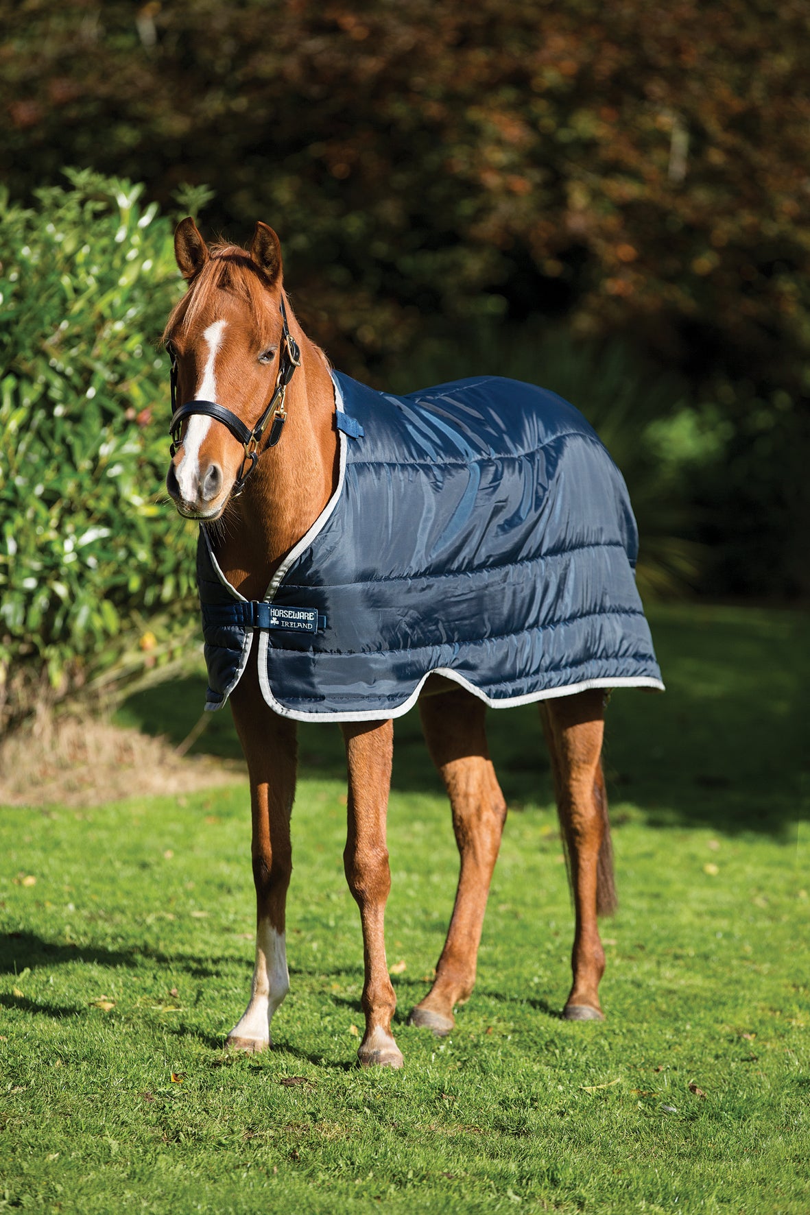 Horseware Pony Liner 200g