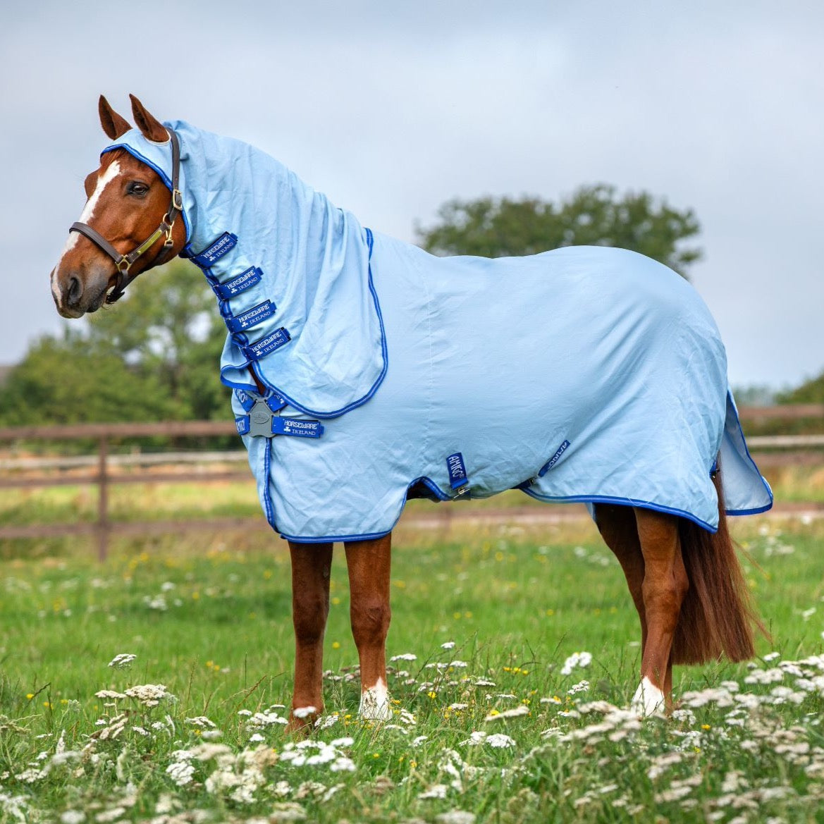 Amigo Pony Ripstop Hoody