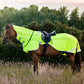 Amigo Flyrider