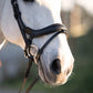 PSOS Paladin Noseband