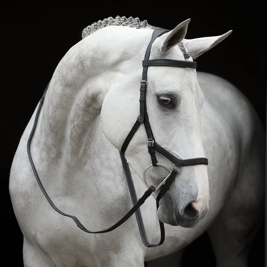 Rambo Micklem Original Competition Bridle