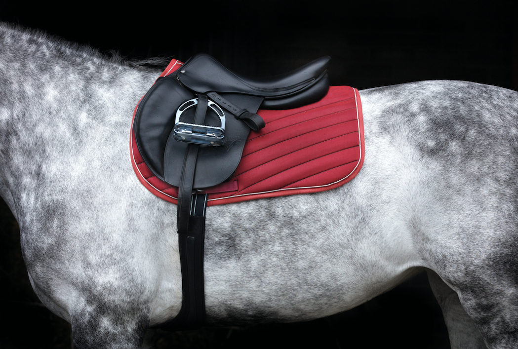 Horseware Fashion Saddle Pad