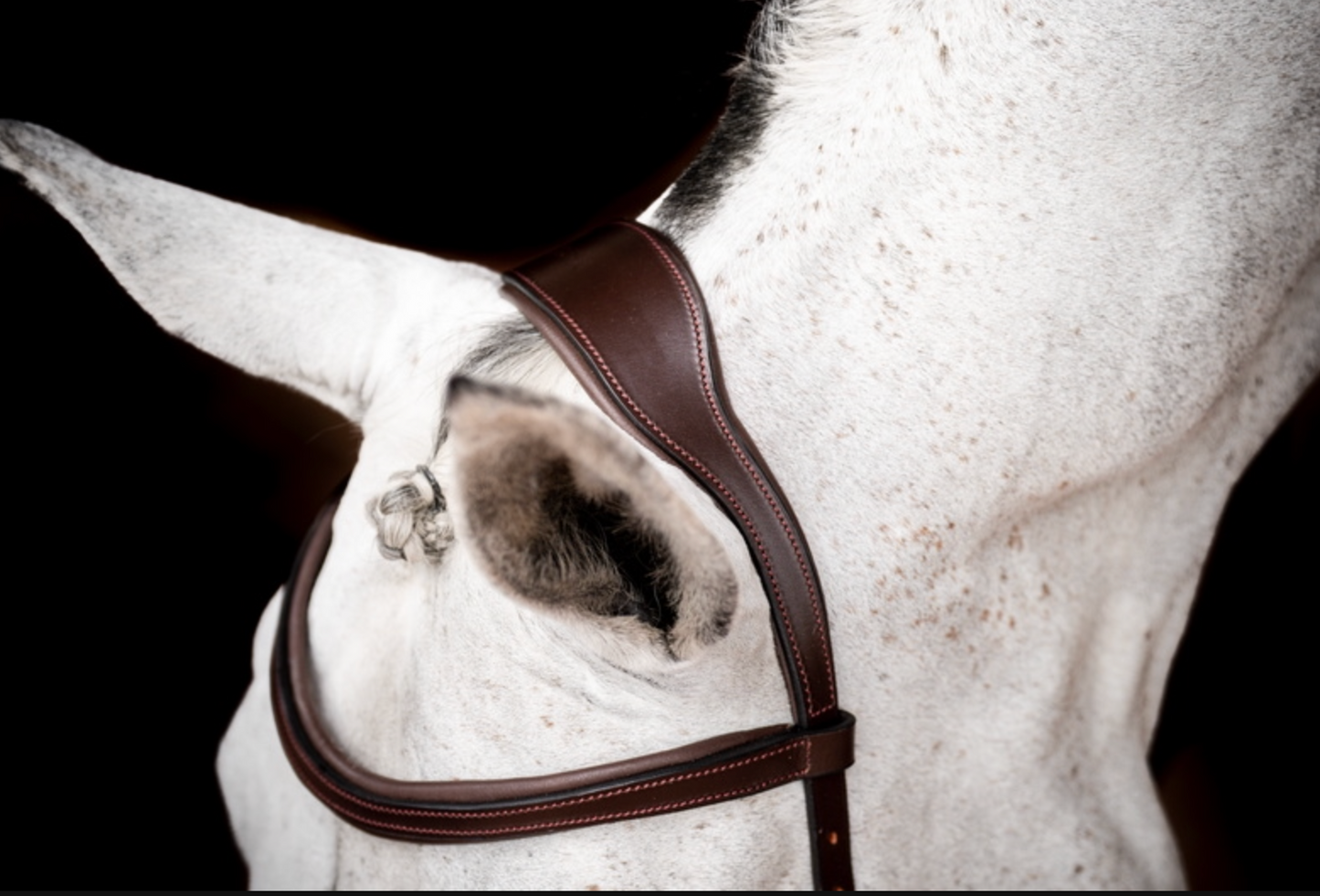 HW Micklem 2 Competition Bridle