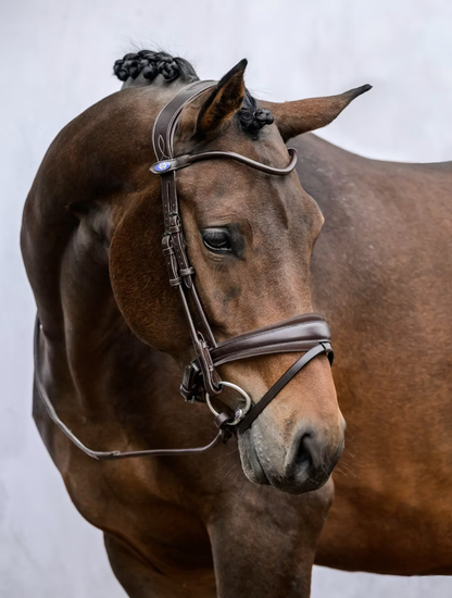 PSOS Bridle GP