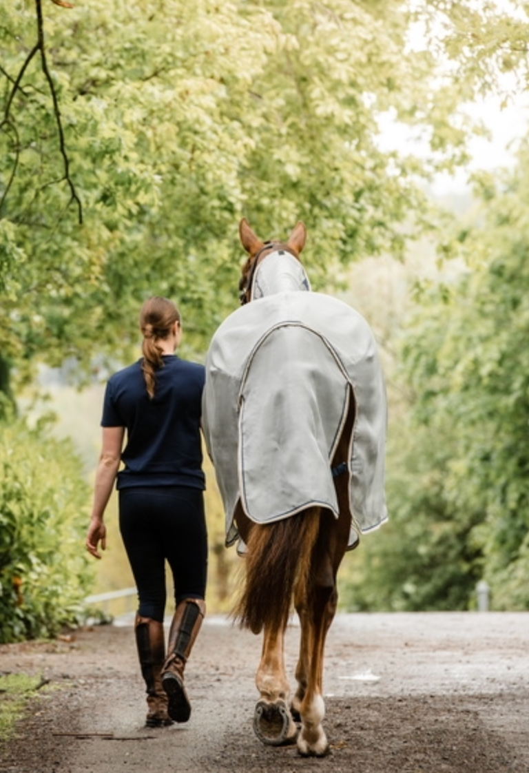 Rambo Protector Fly Rug NEW