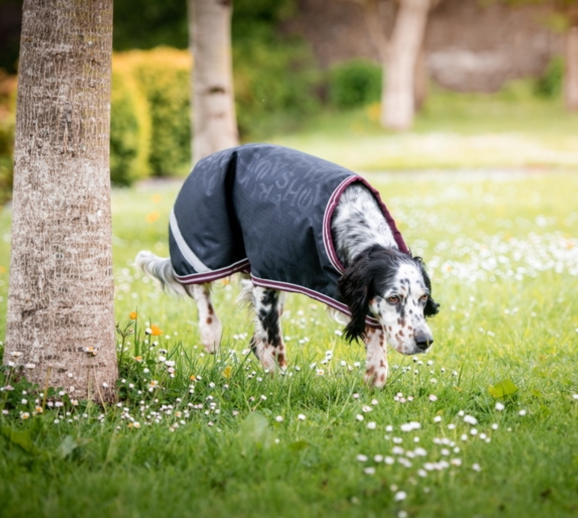 Amigo Dog Rug Ripstop