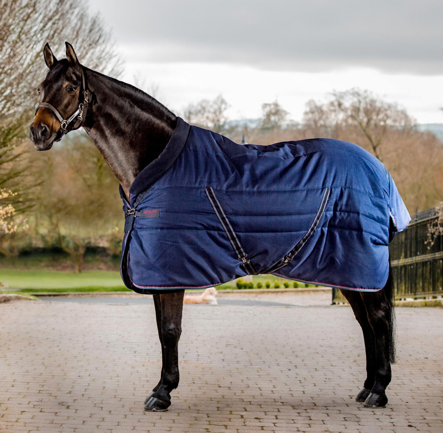 Rambo Cosy Stable Rug 100g