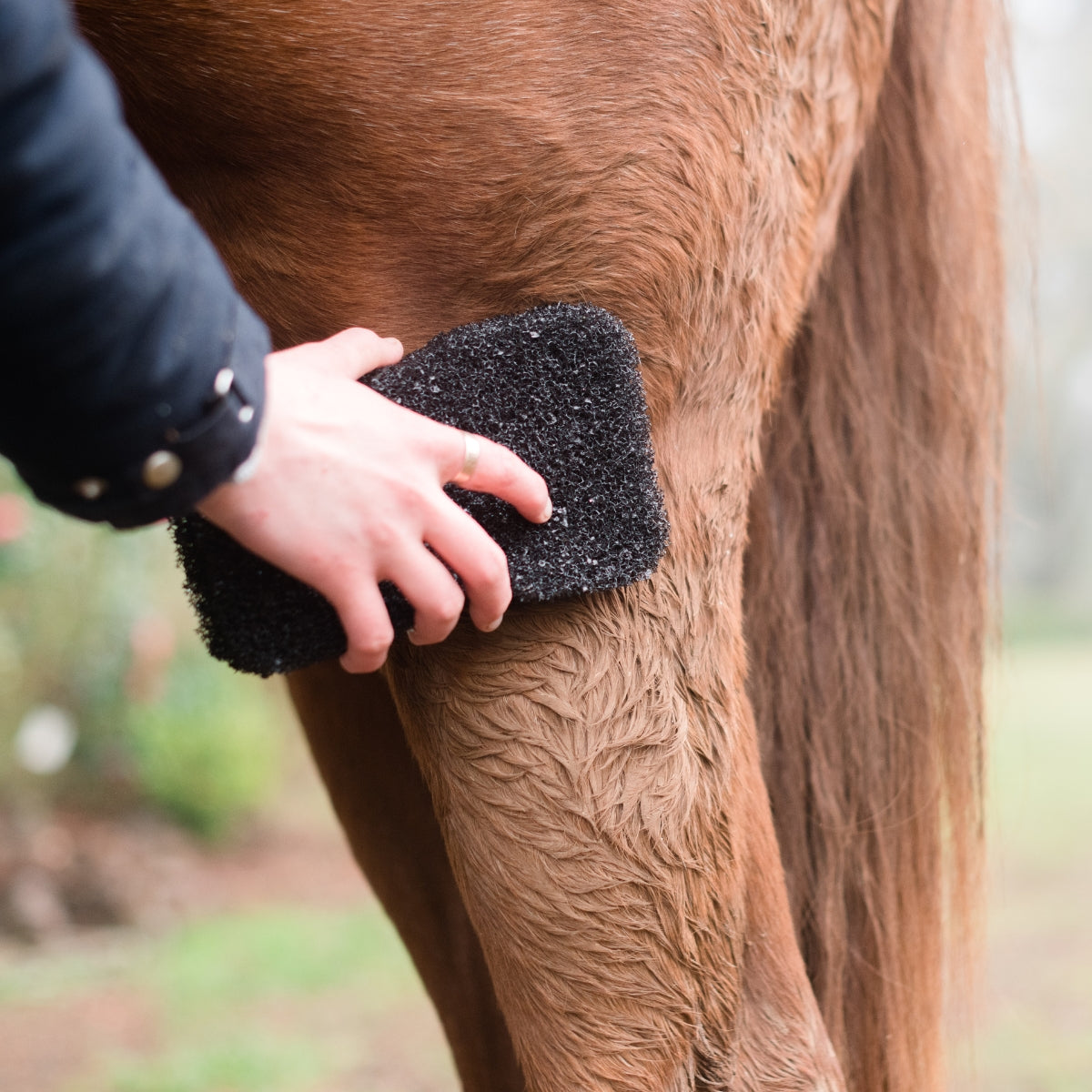 Tiger's Tongue Horse Groomer