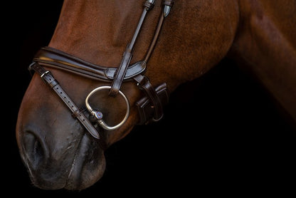 PSOS Double Bridle Paragon