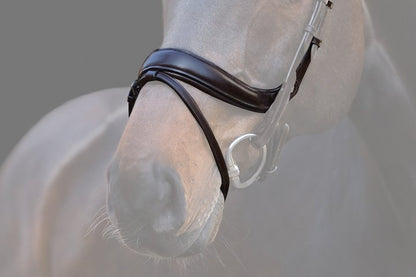 PSOS Paladin Noseband