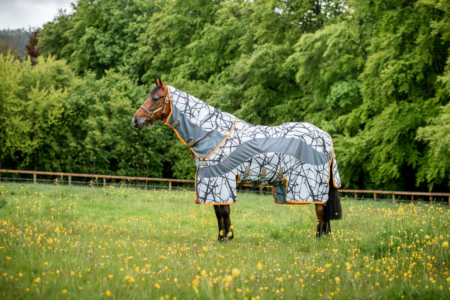 Horseware Amigo 3-in-1 CamoFly – Leader Equine