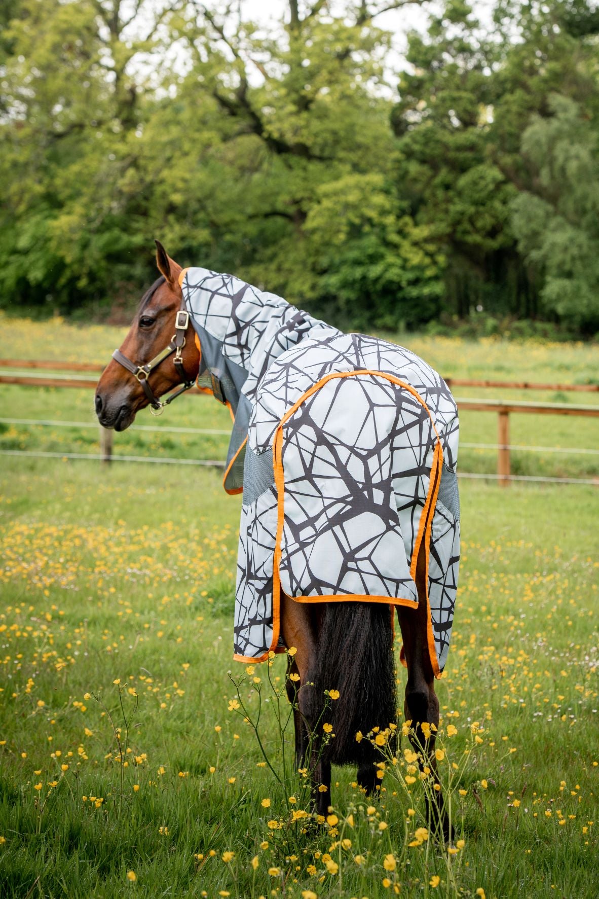 Horseware Amigo 3-in-1 CamoFly