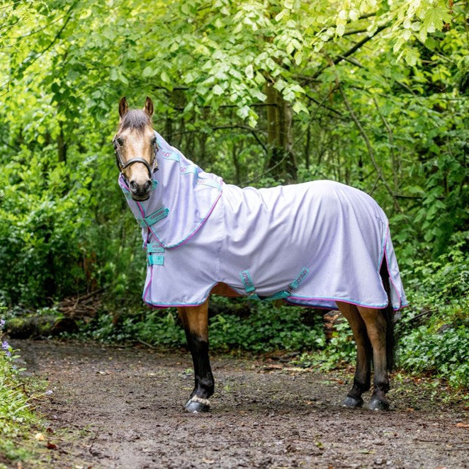 Amigo Pony Bug Rug