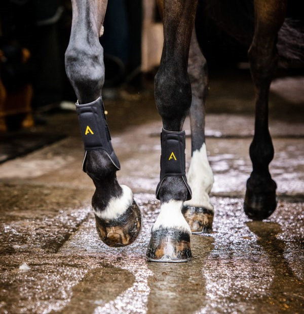 Horseware Adagio Boots