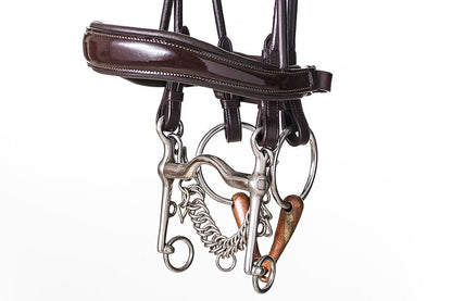 PSOS Double Bridle Passage Lacquered