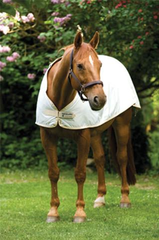 Fly Rug Liner