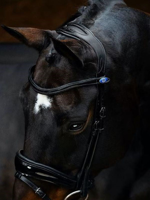 PSOS Bridle Deluxe Flying Change