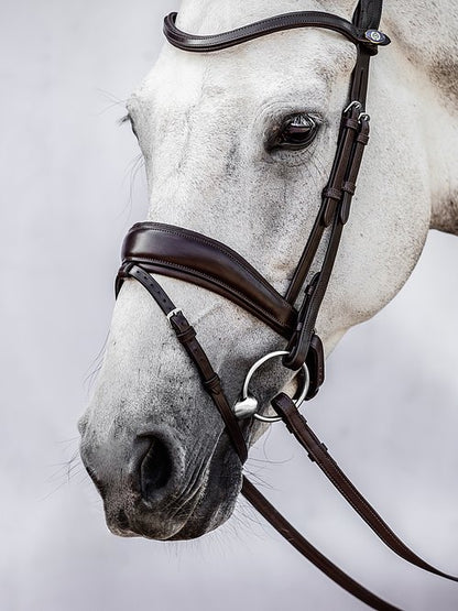 PSOS Bridle Flying Change