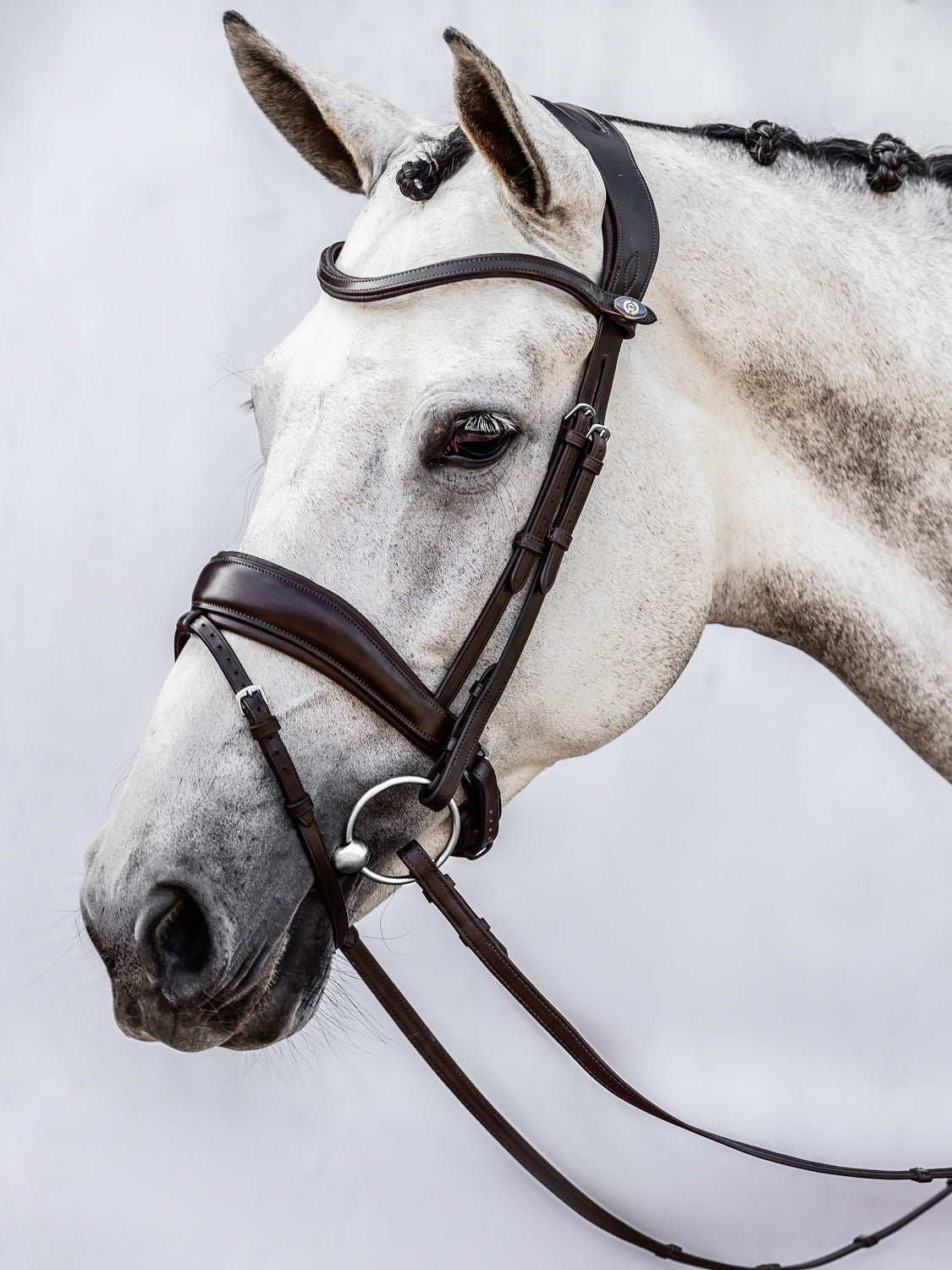 PSOS Bridle Flying Change