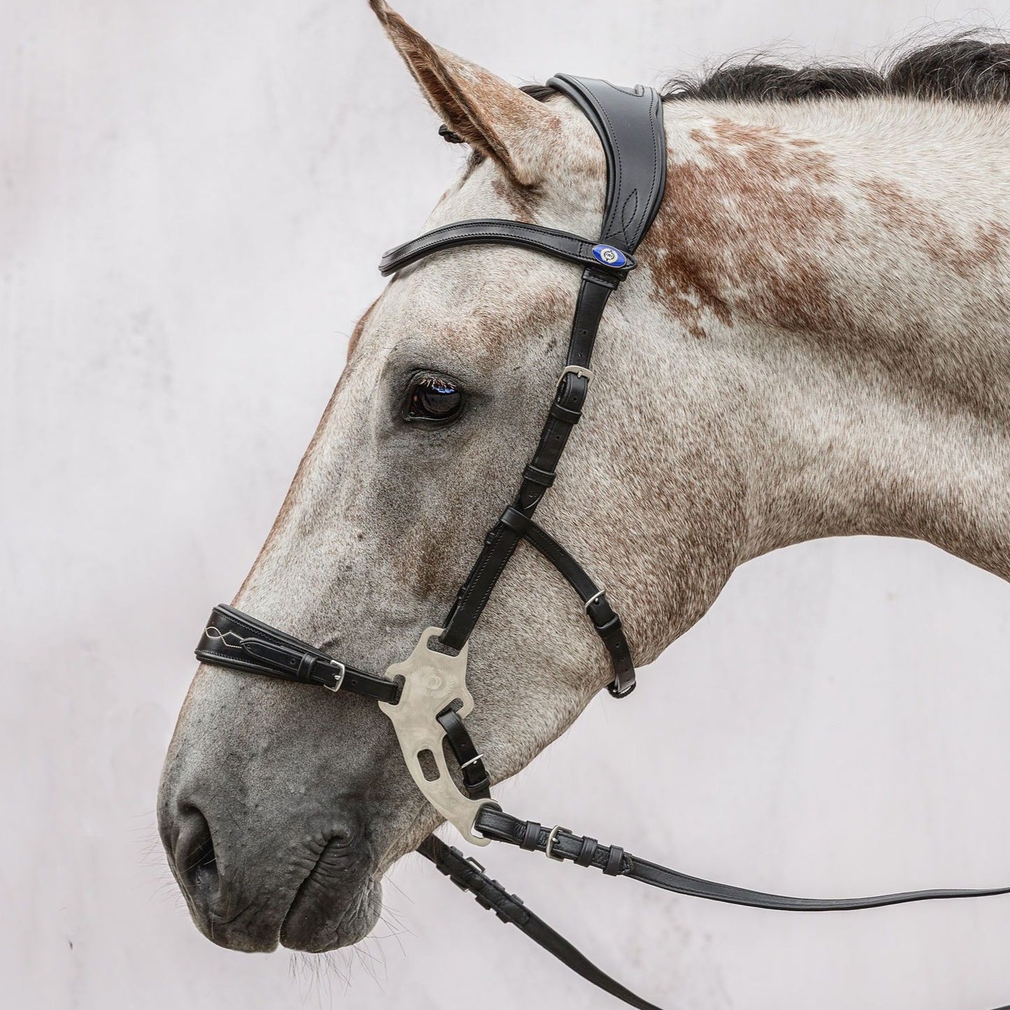 PSOS Bridle Hackamore Sport