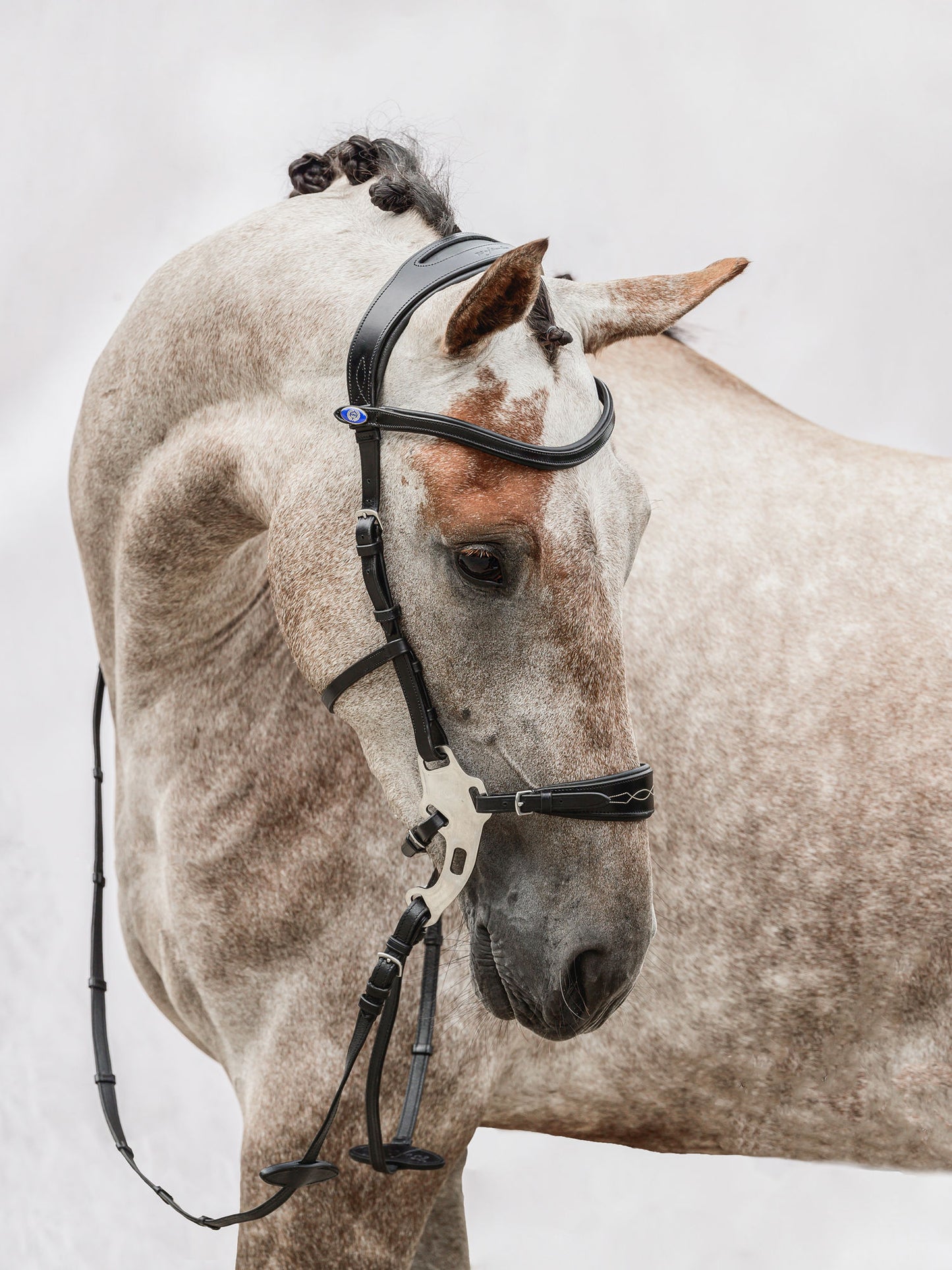 PSOS Bridle Hackamore Sport