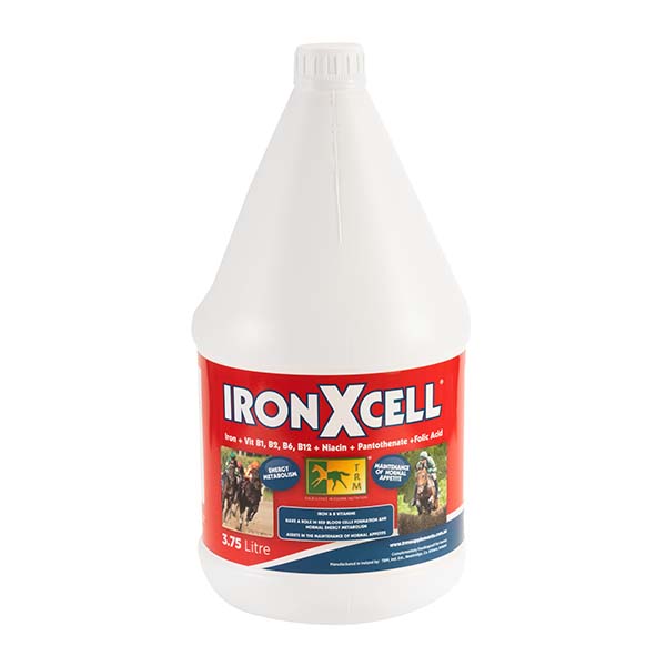 IronXcell - with B Vitamins