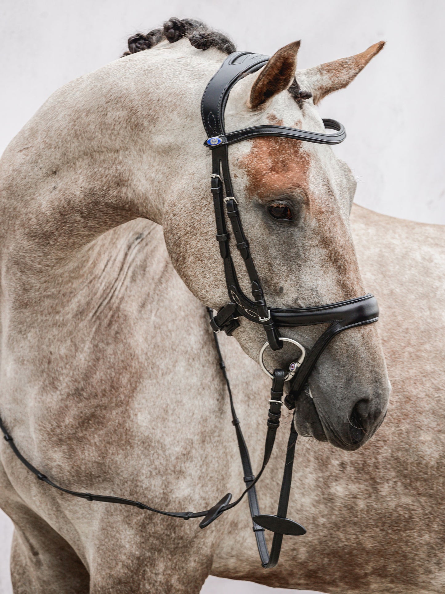 PSOS Bridle Jump Off