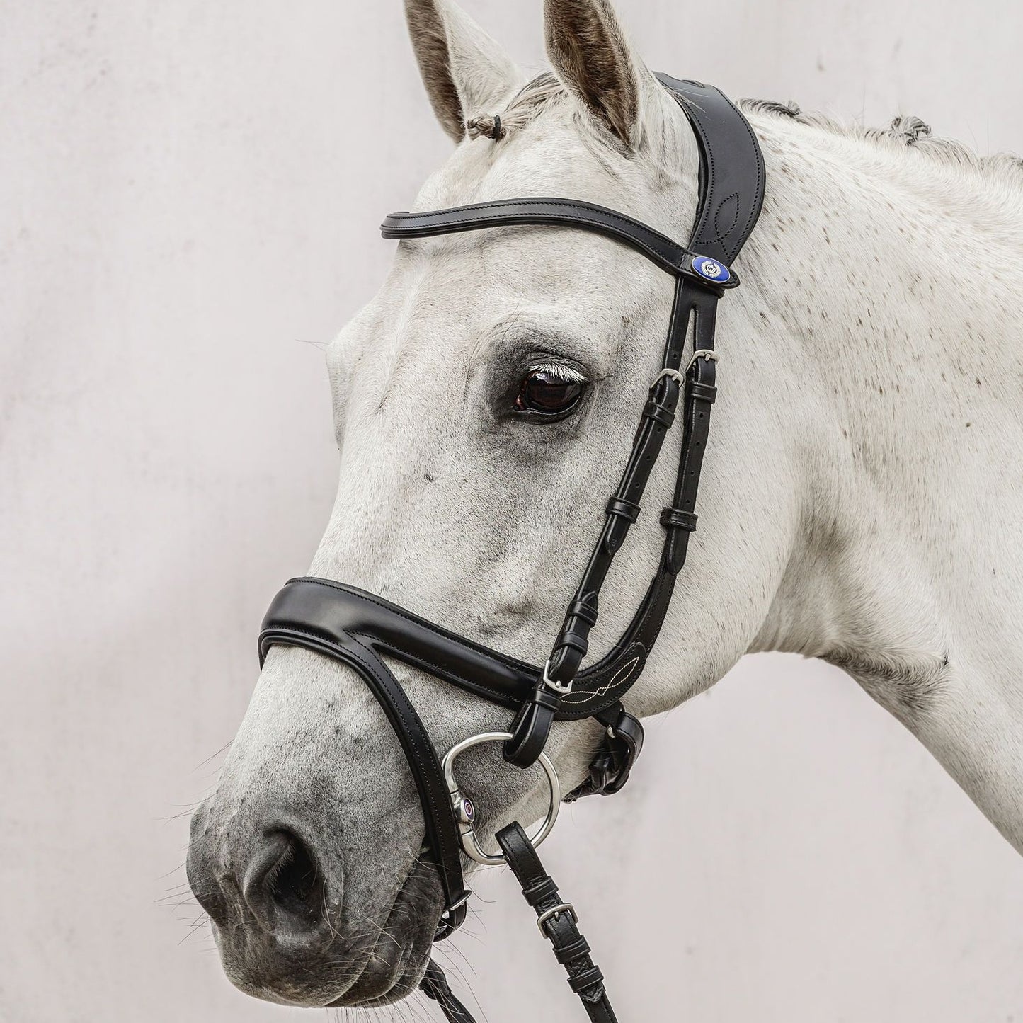 PSOS Bridle Jump Off