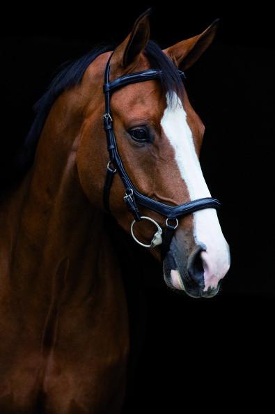 Rambo Micklem Deluxe Competition Bridle