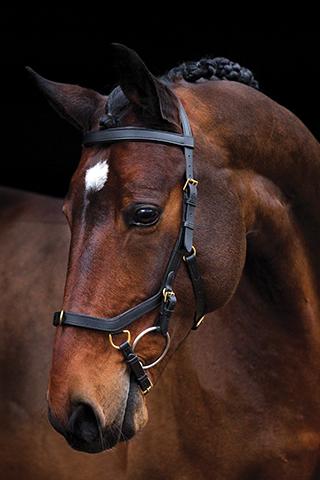 Rambo Micklem Multibridle