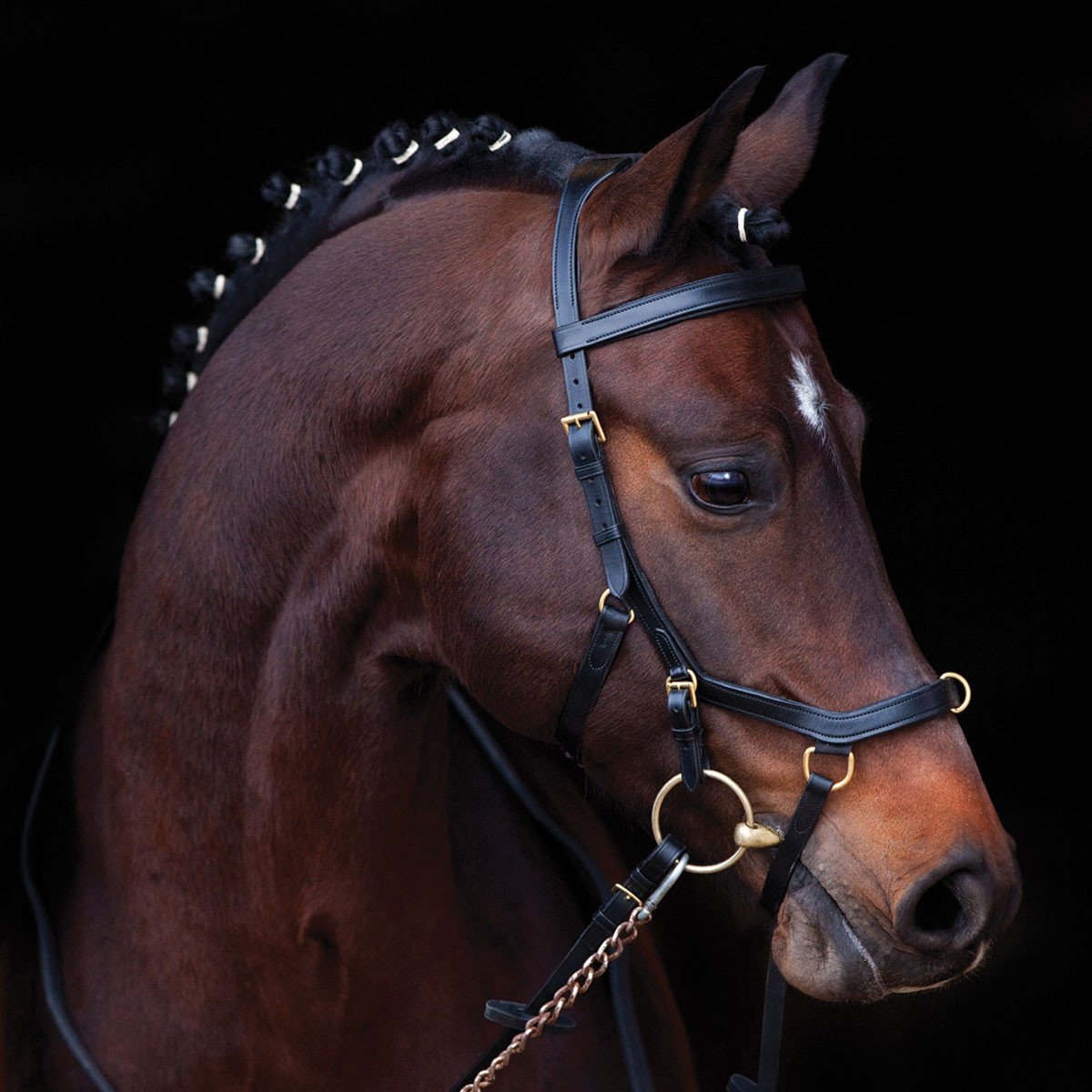 Rambo Micklem Multibridle