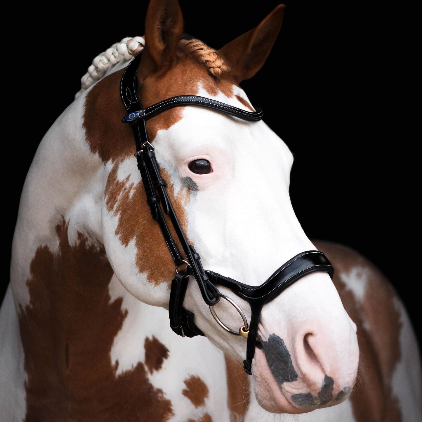 PSOS Bridle, Pioneer