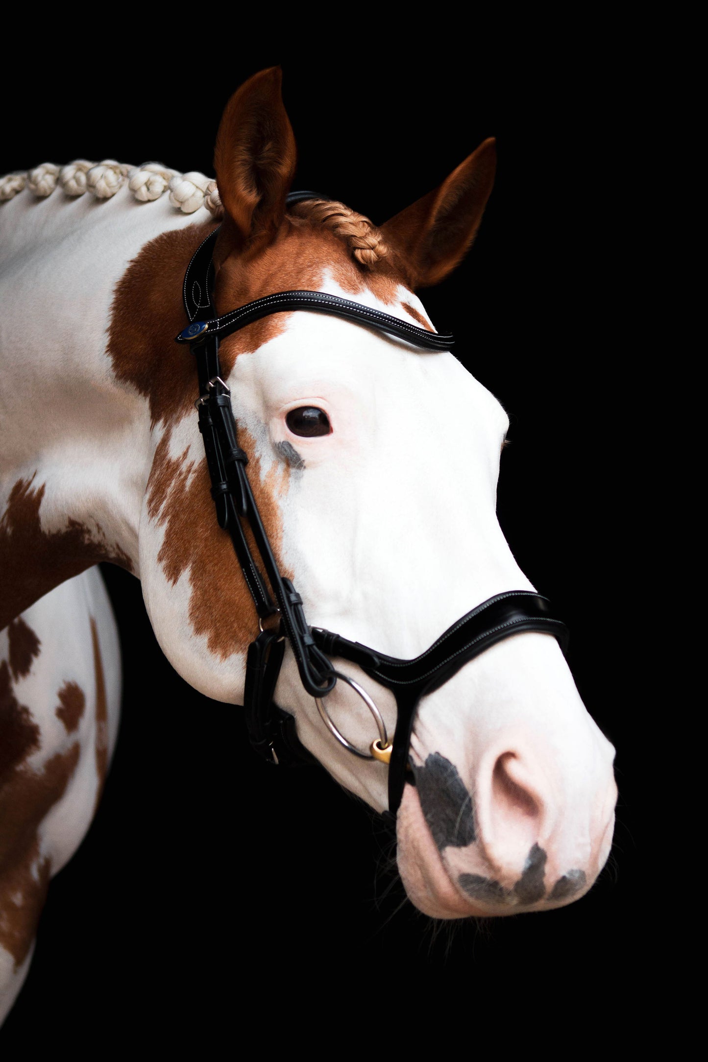 PSOS Bridle, Pioneer