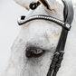 PSOS Browband Silver Clincher