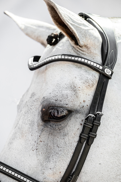 PSOS Browband Silver Clincher