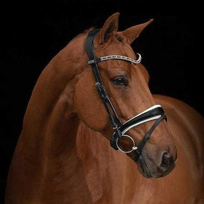 PSOS Bridle GP